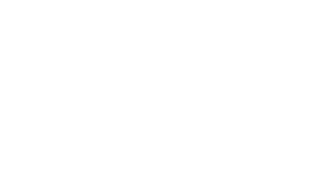 IGT Solutions logo